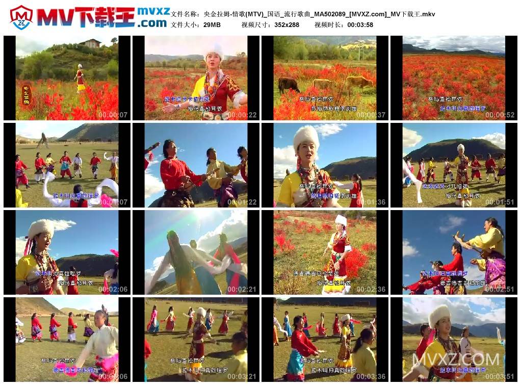 央金拉姆-情歌(MTV)_国语_流行歌曲_MA502089